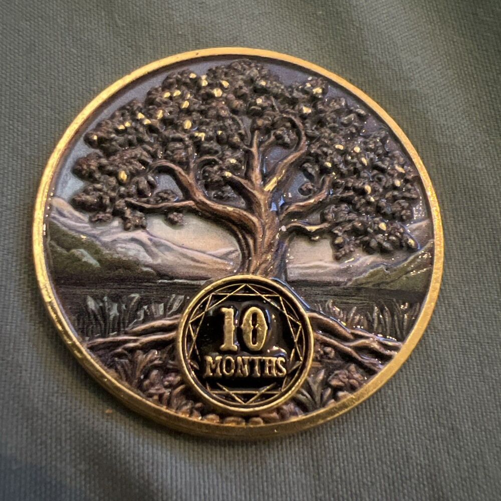 10 Months Tree AA NA Sobriety Coin Recovery Chip Sober Anniversary Token